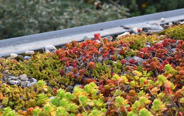 the cost of Moneyacres green roof installation