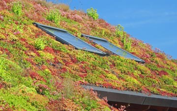 Moneyacres living roof systems