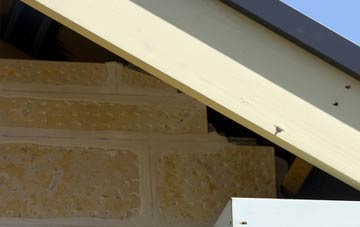 soffit repair Moneyacres